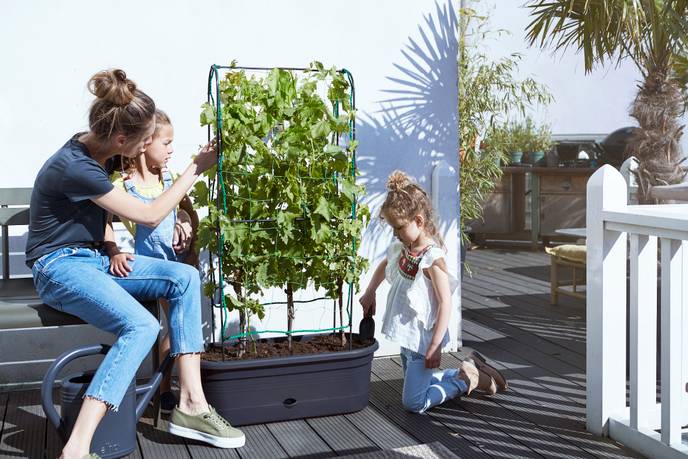 green basics jardiniere treillis 80cm living noir